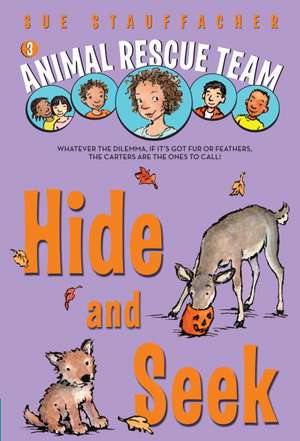 Hide and Seek de Sue Stauffacher