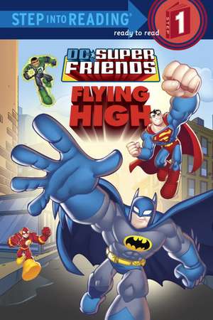 DC Super Friends: Flying High de Nick Eliopulos