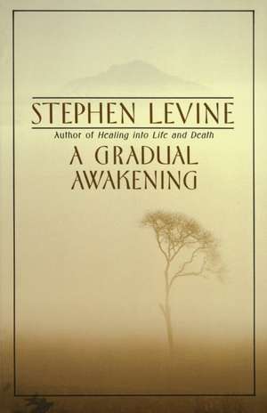 A Gradual Awakening de Stephen Levine