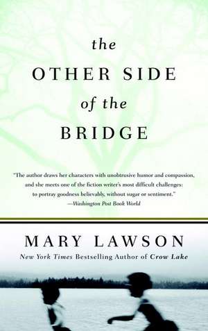 The Other Side of the Bridge de Mary Lawson