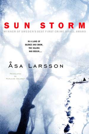 Sun Storm de Asa Larsson