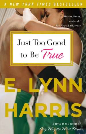 Just Too Good to Be True de E. Lynn Harris