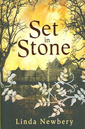 Set in Stone de Linda Newbery