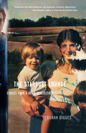 The Stardust Lounge: Stories from a Boy's Adolescence de Deborah Digges