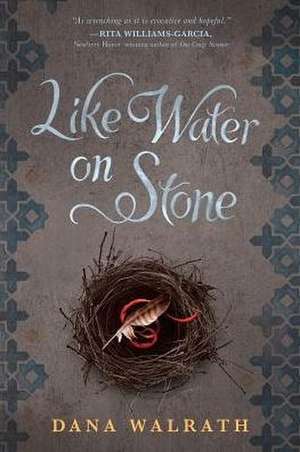 Like Water on Stone de Dana Walrath