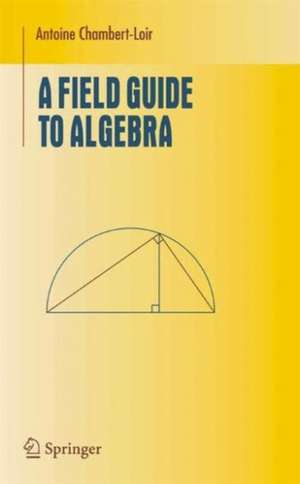 A Field Guide to Algebra de Antoine Chambert-Loir