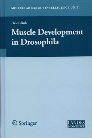 Muscle Development in Drosophilia de Helen Sink