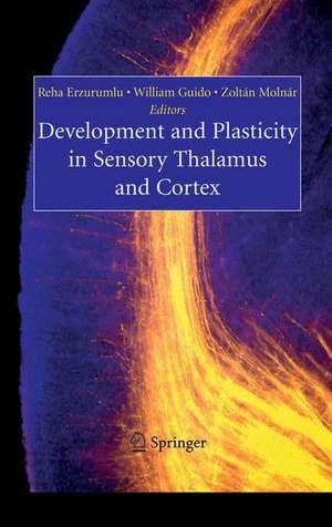 Development and Plasticity in Sensory Thalamus and Cortex de Reha Erzurumlu