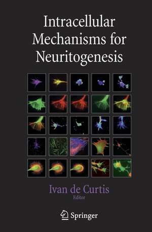 Intracellular Mechanisms for Neuritogenesis de Ivan Curtis