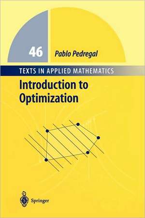 Introduction to Optimization de Pablo Pedregal