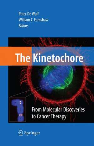 The Kinetochore:: From Molecular Discoveries to Cancer Therapy de Peter De Wulf