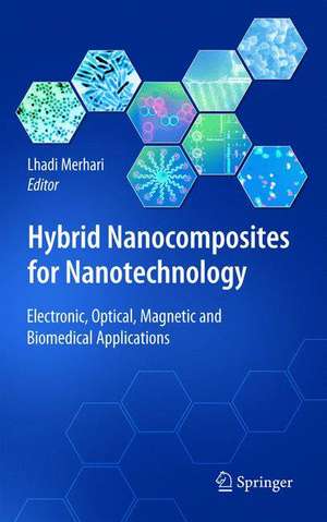 Hybrid Nanocomposites for Nanotechnology: Electronic, Optical, Magnetic and Biomedical Applications de Lhadi Merhari