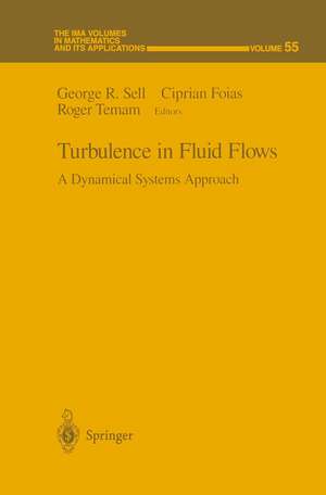 Turbulence in Fluid Flows: A Dynamical Systems Approach de George R. Sell