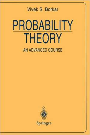 Probability Theory: An Advanced Course de Vivek S. Borkar