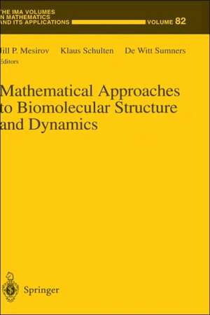 Mathematical Approaches to Biomolecular Structure and Dynamics de Jill P. Mesirov