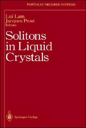 Solitons in Liquid Crystals de Lui Lam