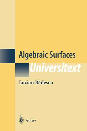 Algebraic Surfaces de Lucian Badescu