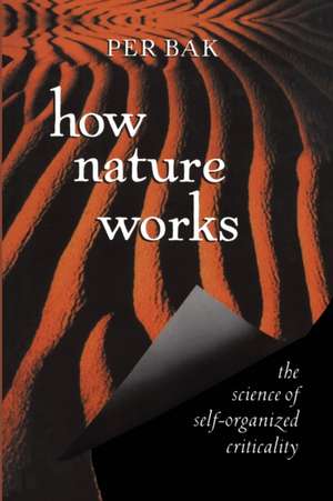 How Nature Works: the science of self-organized criticality de Per Bak