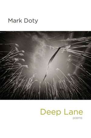 Deep Lane – Poems de Mark Doty