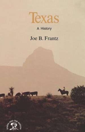 Texas – A History de Joe Bertram Frantz