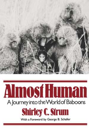 Almost Human – A Journey Into the World of Baboons de Shirley C. Strum