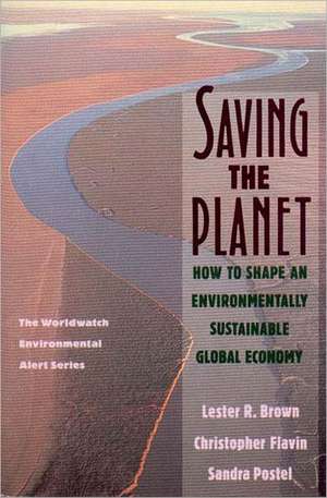 Saving the Planet – How To Shape an Environmentally Sustainable Global Economy (Paper) de Lester R. Brown