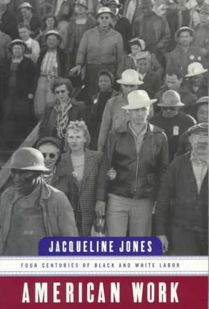 American Work – Four Centuries of Black and White Labor de Jacqueline Jones