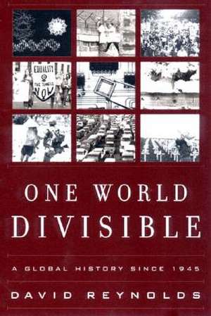 One World Divisible – A Global History Since 1945 de David Reynolds