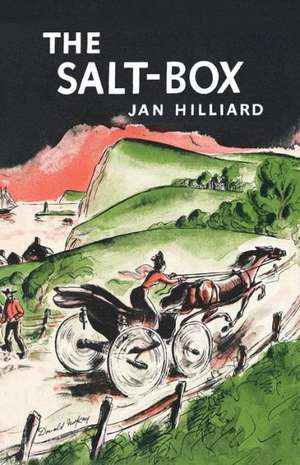 The Salt–Box de Jan Hilliard
