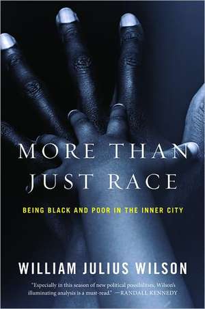 More than Just Race – Being Black and Poor in the Inner City de William Julius Wilson