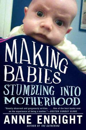 Making Babies – Stumbling into Motherhood de Anne Enright