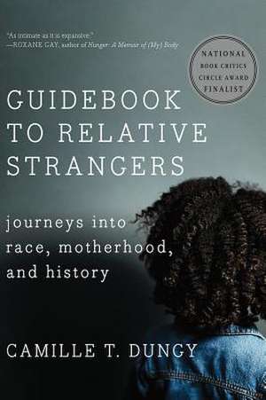 Guidebook to Relative Strangers – Journeys into Race, Motherhood, and History de Camille T. Dungy