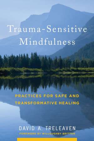 Trauma–Sensitive Mindfulness – Practices for Safe and Transformative Healing de David A. Treleaven