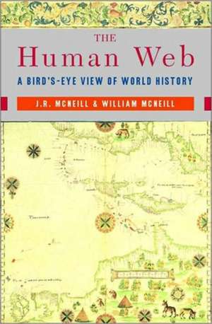 Human Web – A Bird′s–Eye View of World History de J. R. Mcneill