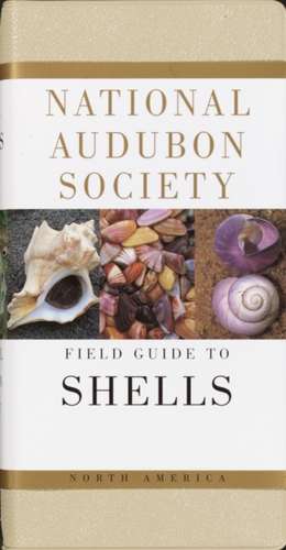 National Audubon Society Field Guide to North American Seashells de Harald A. Rehder