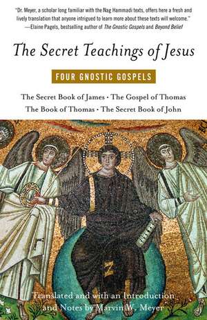 The Secret Teachings of Jesus: Four Gnostic Gospels de Marvin W. Meyer