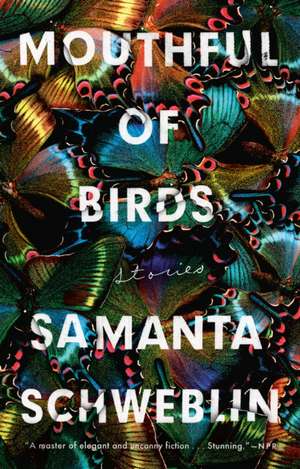 Mouthful of Birds: Stories de Samanta Schweblin