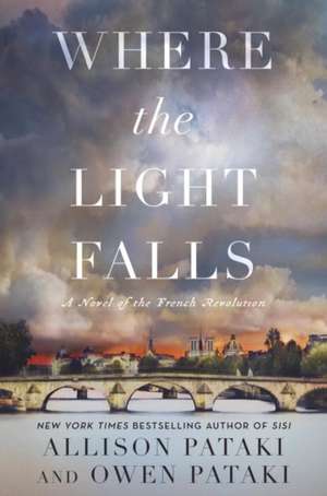 Where the Light Falls de Allison Pataki