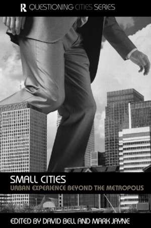 Small Cities: Urban Experience Beyond the Metropolis de David Bell