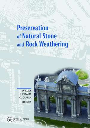 Preservation of Natural Stone and Rock Weathering: Proceedings of the ISRM Workshop W3, Madrid, Spain, 14 July 2007 de Pedro Sola