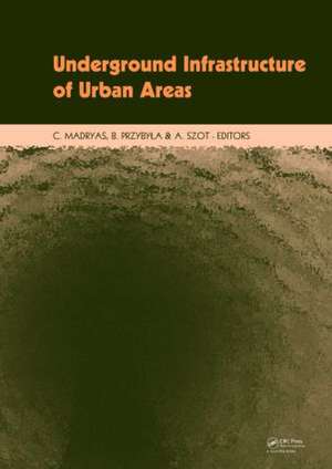 Underground Infrastructure of Urban Areas: Book + CD-ROM de Cezary Madryas