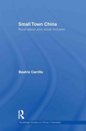 Small Town China: Rural Labour and Social Inclusion de Beatriz Carrillo Garcia