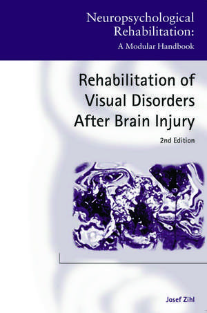 Rehabilitation of Visual Disorders After Brain Injury: 2nd Edition de Josef Zihl