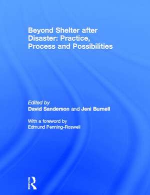 Beyond Shelter after Disaster: Practice, Process and Possibilities de David S. Anderson