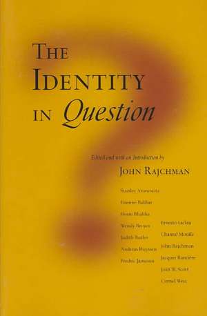 The Identity in Question de John Rajchman