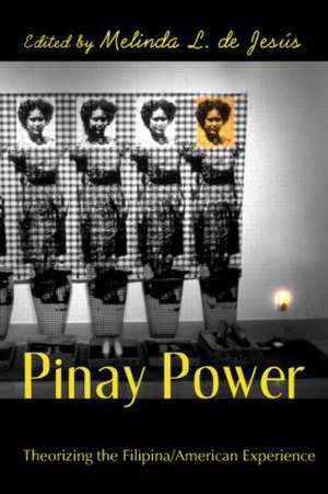 Pinay Power: Peminist Critical Theory de Melinda L. de Jesús