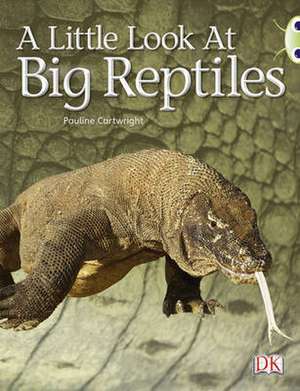 Bug Club Guided Non Fiction Year 1 Blue B A Little Look at Big Reptiles de Pauline Cartwright