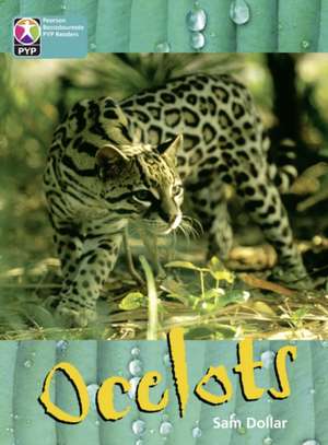 PYP L10 Ocelots 6PK de Sam Dollar