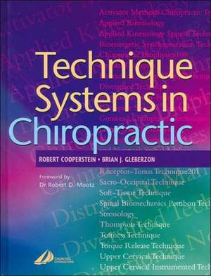 Technique Systems in Chiropractic de Robert Cooperstein