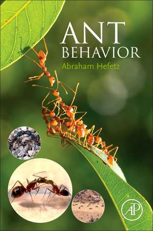 Ant Behavior de Abraham Hefetz